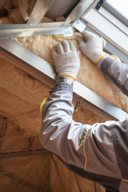 Best Blown-in Insulation in Honeygo, MD