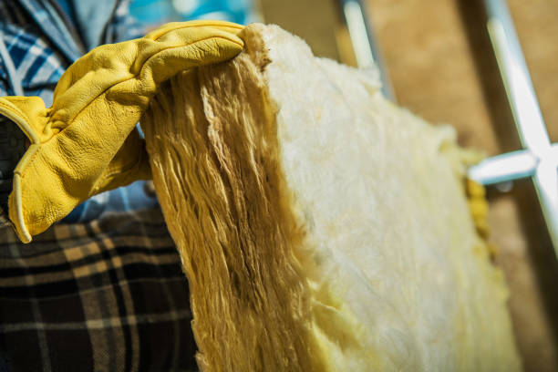 Best Cellulose Insulation in Honeygo, MD