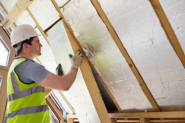 Best Eco-Friendly Insulation in Honeygo, MD